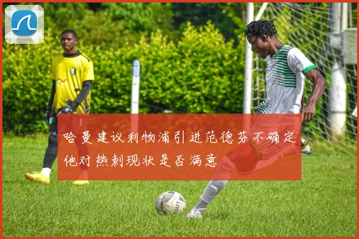 哈曼建议利物浦引进范德芬不确定他对热刺现状是否满意
