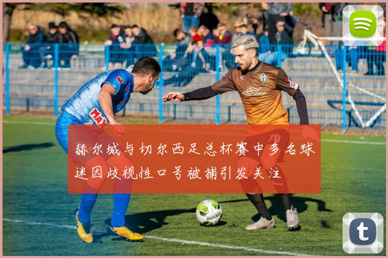 赫尔城与切尔西足总杯赛中多名球迷因歧视性口号被捕引发关注